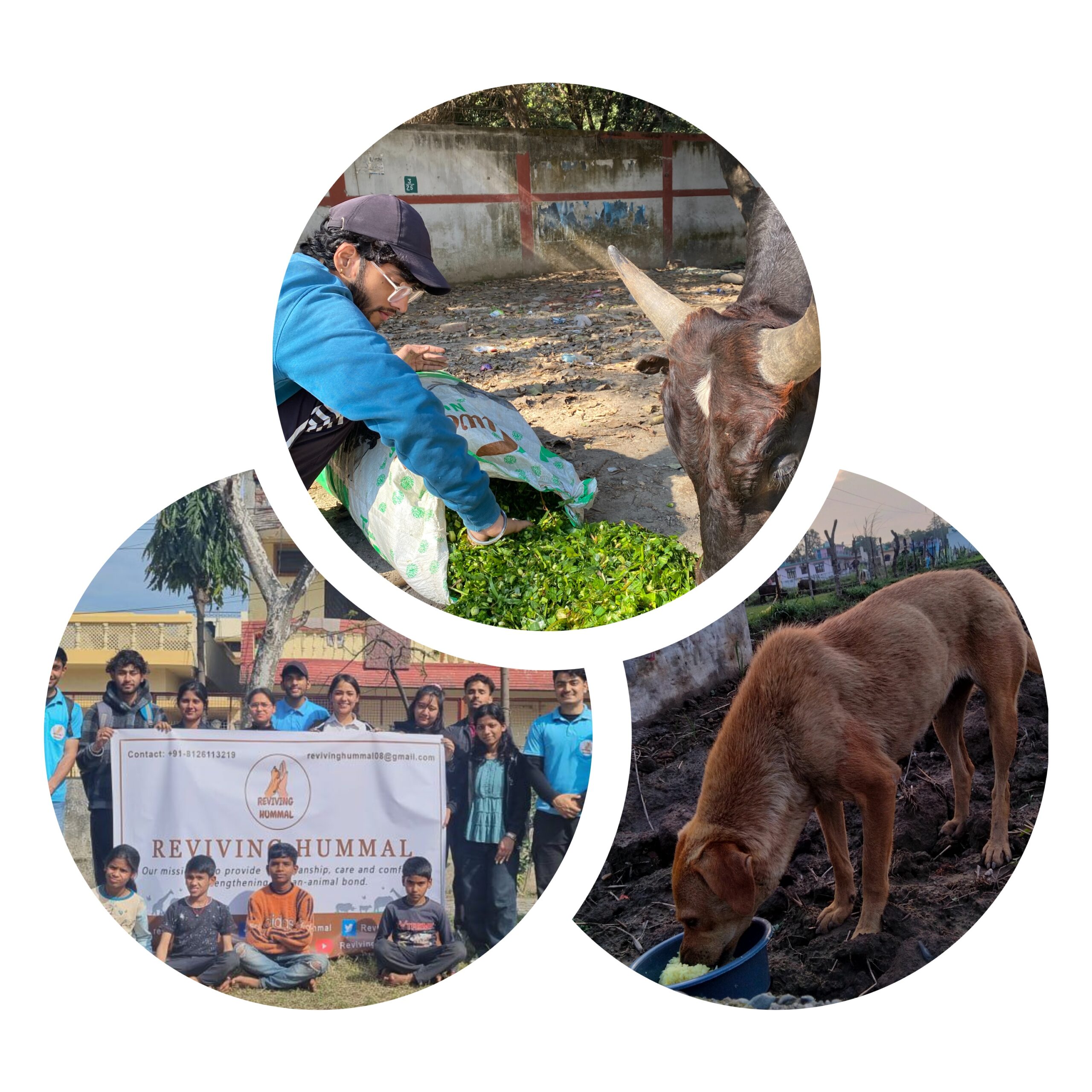 about us