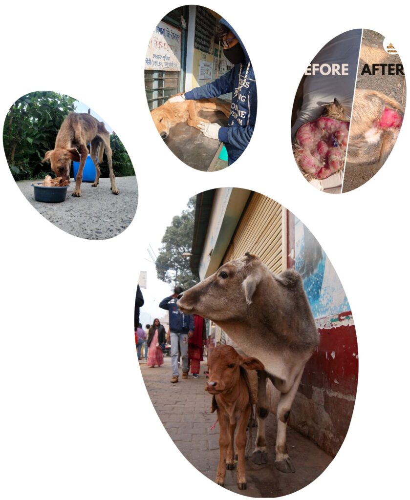 about us